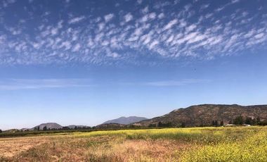 Agrícola en Venta en Rengo