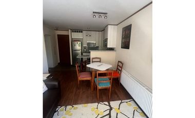 Venta Depto. amoblado 2D 2B 1E en Termas de Chillán