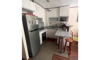 Venta Depto. amoblado 2D 2B 1E en Termas de Chillán