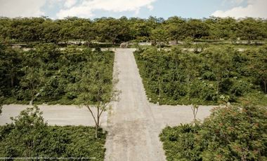 Lotes de Terreno en Venta / Yax'Kan - Tixkokob, Yucatán