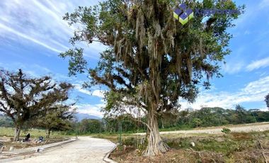 Xico Preventa Lotes Campestres Residencial Agua Bendita