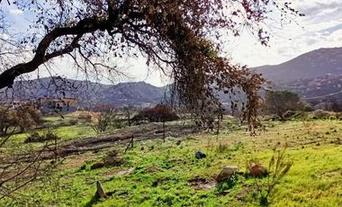 PROPIEDAD EN VENTA DE  1100 m2 | RANCHO TECATE