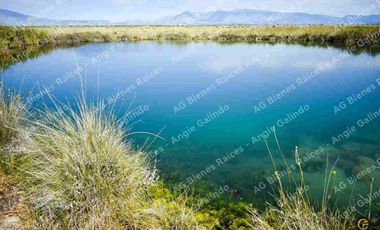 Predio con pozas en Cuatro Ciénegas