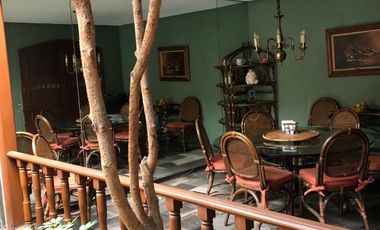 Pedregal de San Angel