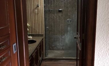 Pedregal de San Angel