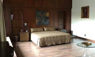 Pedregal de San Angel