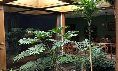 Pedregal de San Angel