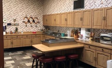 Pedregal de San Angel