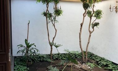 Pedregal de San Angel