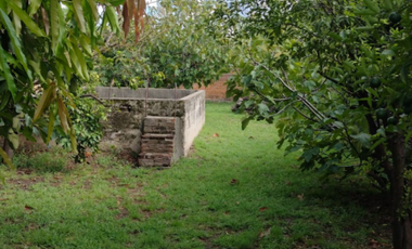 VENDE: Calle Los Ceibos