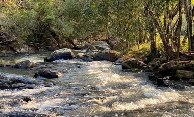Chacra de 12 hectareas en VENTA en OBERA