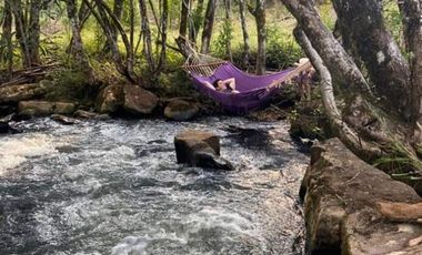 Chacra de 12 hectareas en VENTA en OBERA