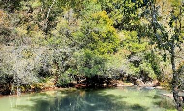 Chacra de 12 hectareas en VENTA en OBERA