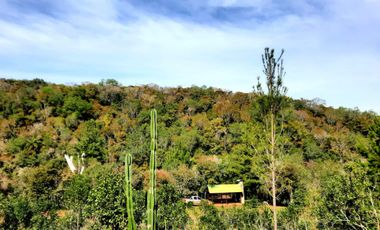 Chacra de 12 hectareas en VENTA en OBERA