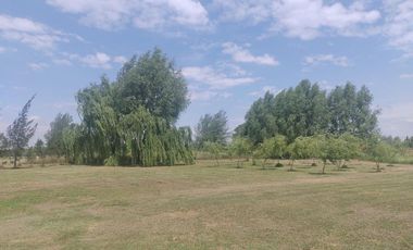 Casa - Estancias Las Lilas
