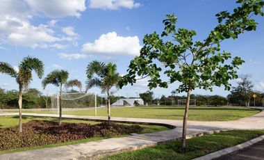 Casa (1095) en Venta en Privada Blanca Residencial