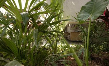 Casa en venta en Jesus Carranza en Mérida Yucatán.