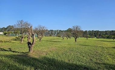 venta lote azahares del parana barrio cerrado