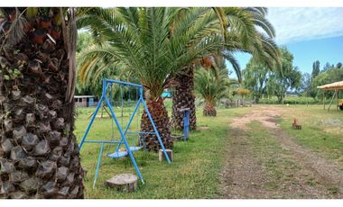 PARCELA EN VENTA, CON CASONA Y RESTAURANTE, SAN RAFAEL, REGIÓN DE MAULE