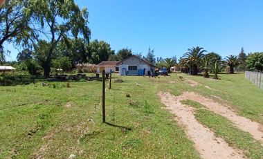 PARCELA EN VENTA, CON CASONA Y RESTAURANTE, SAN RAFAEL, REGIÓN DE MAULE
