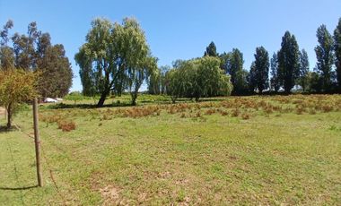 PARCELA EN VENTA, CON CASONA Y RESTAURANTE, SAN RAFAEL, REGIÓN DE MAULE