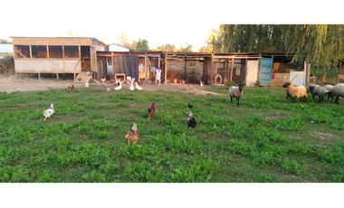 PARCELA EN VENTA, CON CASONA Y RESTAURANTE, SAN RAFAEL, REGIÓN DE MAULE