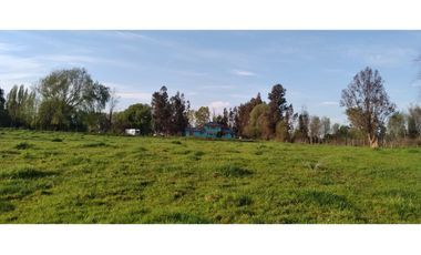 PARCELA EN VENTA, CON CASONA Y RESTAURANTE, SAN RAFAEL, REGIÓN DE MAULE