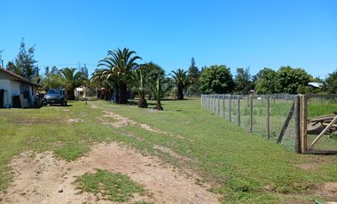 PARCELA EN VENTA, CON CASONA Y RESTAURANTE, SAN RAFAEL, REGIÓN DE MAULE
