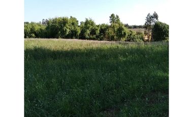 PARCELA EN VENTA, CON CASONA Y RESTAURANTE, SAN RAFAEL, REGIÓN DE MAULE