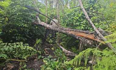 VENTA DE TERRENO EN BACALAR CAMINO A INIFAP
