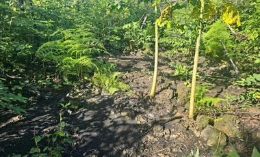 VENTA DE TERRENO EN BACALAR CAMINO A INIFAP