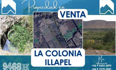 Parcela Agrícola La Colonia – Illapel