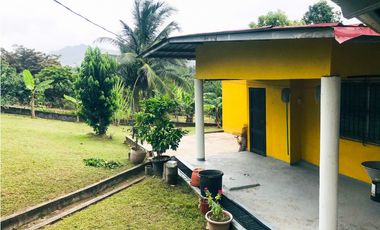 VENTA O ALQUILER DE CASA CAMPO EN LA PINTADA