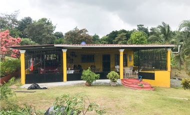 VENTA O ALQUILER DE CASA CAMPO EN LA PINTADA