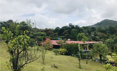VENTA O ALQUILER DE CASA CAMPO EN LA PINTADA