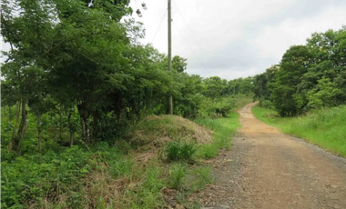 CHORRERA / LA ARENOSA / FINCA / 78 HECTAREAS / CERCA DEL LAGO GATUN