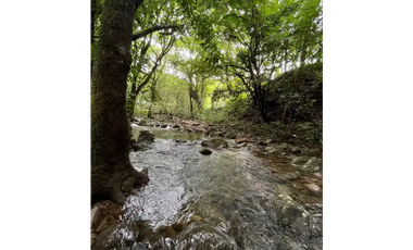 CHORRERA / LA ARENOSA / FINCA / 78 HECTAREAS / CERCA DEL LAGO GATUN