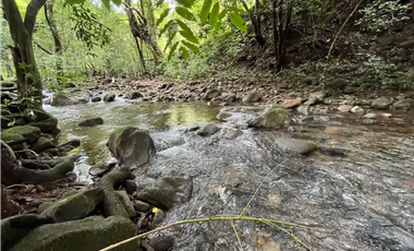 CHORRERA / LA ARENOSA / FINCA / 78 HECTAREAS / CERCA DEL LAGO GATUN