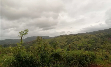 CHORRERA / LA ARENOSA / FINCA / 78 HECTAREAS / CERCA DEL LAGO GATUN