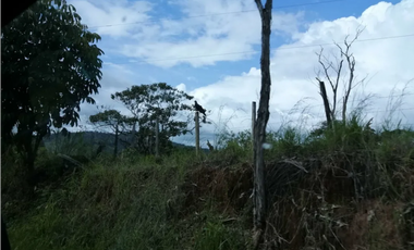 CHORRERA / LA ARENOSA / FINCA / 78 HECTAREAS / CERCA DEL LAGO GATUN