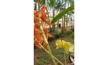 ALQUILER APARTAMENTO AMOBLADO EN PB CON JARDIN EN ANCON