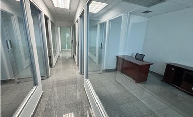 CALLE 50 / OFICINA / TORRE GLOBAL BANK / 131M / AMOBLADA /DIVISIONES