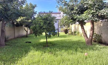 VENTA DEPOSITO CON CASA 4 AMBIENTES Y PARQUE