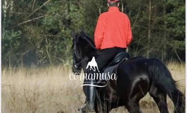 PERMUTA :2 LOTES X 1 EN SAN FERNANDO Club Hipico