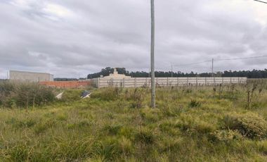 Venta Lote calle 127 entre 64 y 66 Necochea