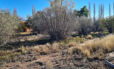 LOTE EN VENTA EN RUTA 60, Russell, Maipú, Mendoza