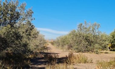 LOTE EN VENTA EN RUTA 60, Russell, Maipú, Mendoza