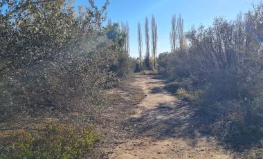 LOTE EN VENTA EN RUTA 60, Russell, Maipú, Mendoza