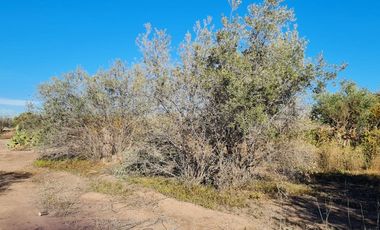 LOTE EN VENTA EN RUTA 60, Russell, Maipú, Mendoza