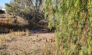 LOTE EN VENTA EN RUTA 60, Russell, Maipú, Mendoza